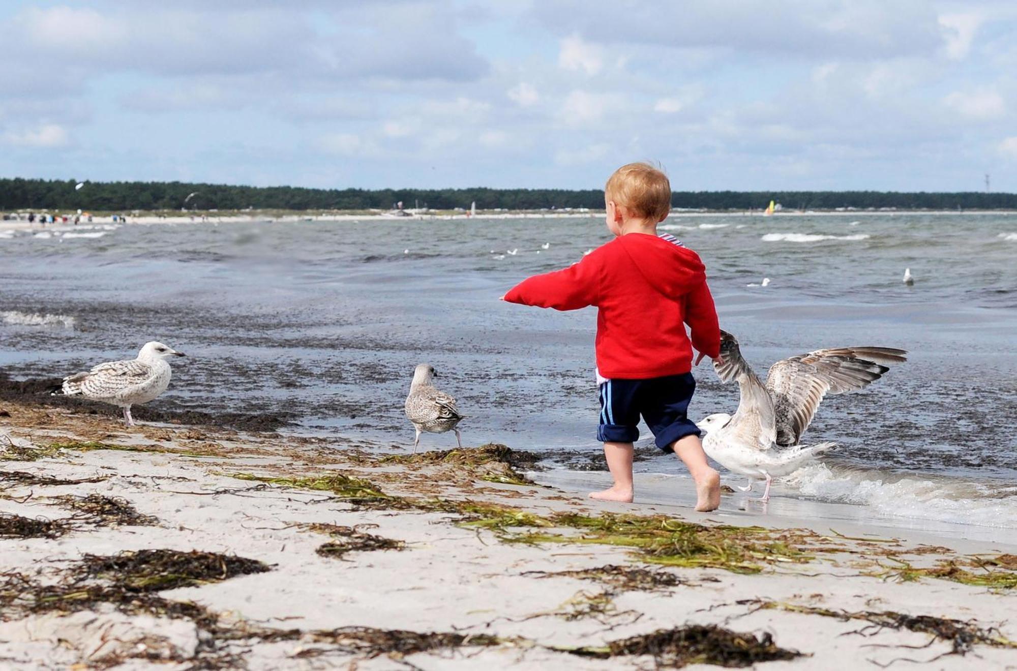 Kleine Freiheit An Der Seebruecke Zingst Dış mekan fotoğraf