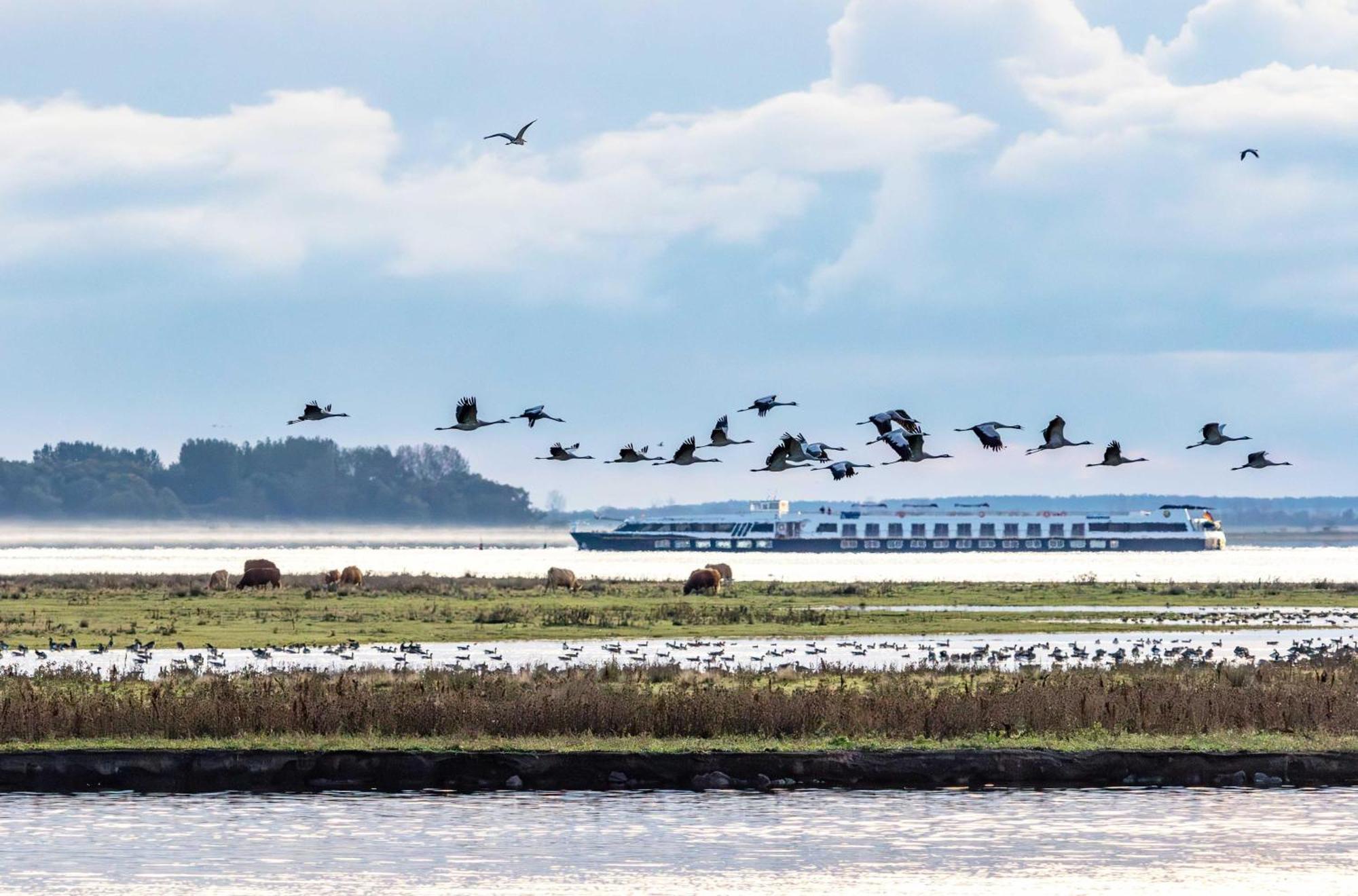 Kleine Freiheit An Der Seebruecke Zingst Dış mekan fotoğraf